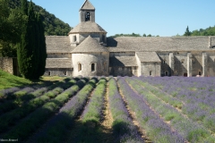 ABBAZIA DI SENAQUE