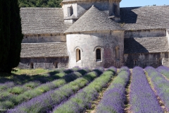 ABBAZIA DI SENAQUE