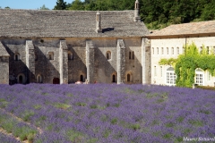 ABBAZIA DI SENAQUE