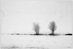 IN ATTESA DELLA PROSSIMA NEVE