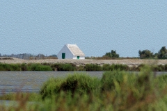 DIPINGERE SAINTES MARIES DE LA MER LANDSCAPE