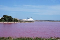 LE SALINE ROSA - AIGUES MORTES