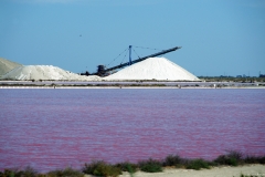 LE SALINE ROSA - AIGUES MORTES