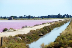 LE SALINE ROSA - AIGUES MORTES