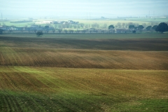 TERRA DI PUGLIA