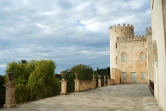 11_Castello di Donnafugata_scorcio