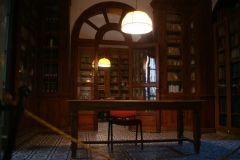 7_La biblioteca inaccessibile del museo