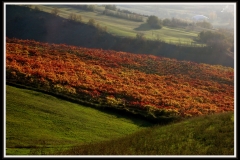 IL FIUME DI COLORI