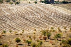 14_l'abbraccio del caldo