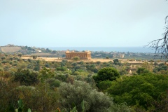 42_un'altra vista del Tempio della Concordia , visto dal museo