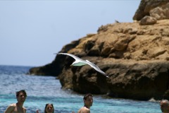 In volo su cala Pulcino