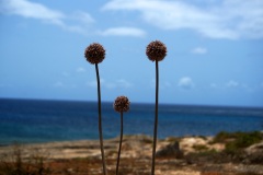 La faccia nascosta di Lampedusa