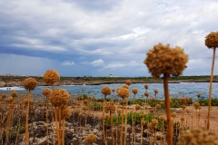 Lampedusa...in-ogni-caso.