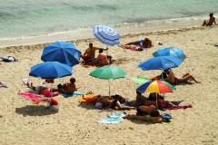 Vita da spiaggia zoom....ai conigli