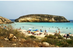 Vita da spiaggia ....ai conigli