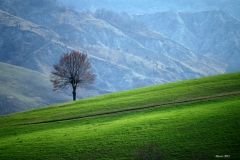 ASPETTANDO LA PRIMAVERA