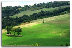 COLLINE DI CASA MIA