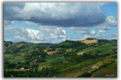 COLLINE DI CASA MIA QUADRO