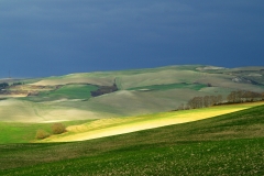 TERRA DI VOLTERRA