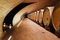 Cantina-Antinori-...le-botti-di-rovere.