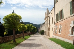 IL CASTELLO DEL CATAJO-I'INGRESSO