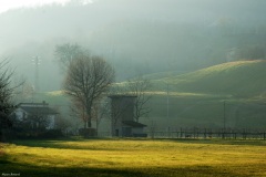 La luce radente