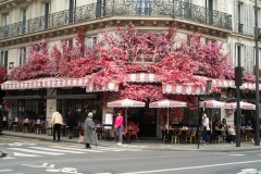 ...fiori finti ...uno dei tanti eccessi di Parigi