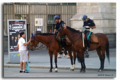 POLIZIA A CAVALLO