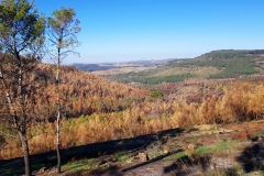 2_Verso-Piazza-Armerina_paesaggio...gli-incendi-la-fanno-da-padrone