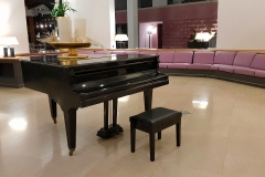 4_Hotel-Santa-Tecla-Palace_hall_il-pianoforte.....scordato