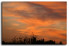 ARANCIO CIELO