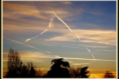 IL MARE IN CIELO