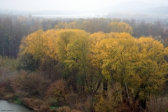 Autunno a Melk