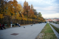 Passeggiata ai giardini del Museo Belvedere